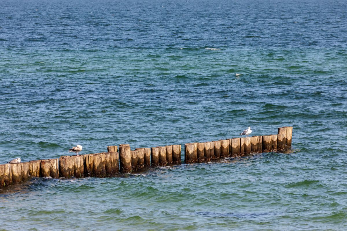 Buhne und Ostseeküste bei Kühlungsborn
