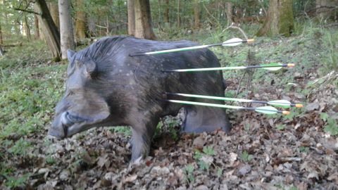 DM Bogen 3D in Neustrelitz: 360 Starter schießen auf Tiere, deren Entfernung niemand nennt