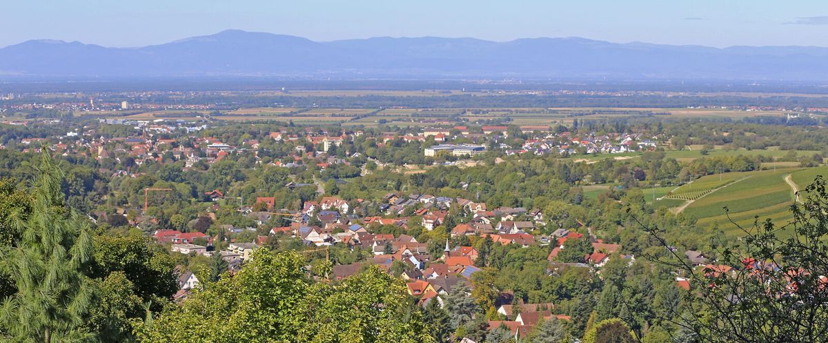 Panoramablick über Müllheim in Baden mit dem Rheintal im Hintergrund