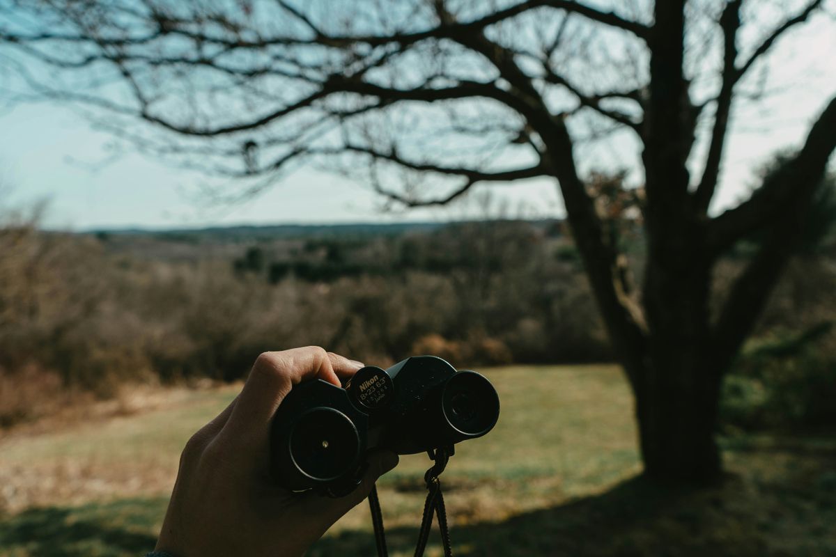 Eine Hand hält ein schwarzes Fernglas vor einer offenen, unscharfen Landschaft mit einem großen Baum.