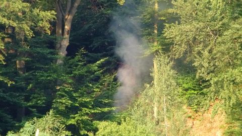 Waldbrand Schramberg: 200 Kräfte kämpfen an den steilen Hängen