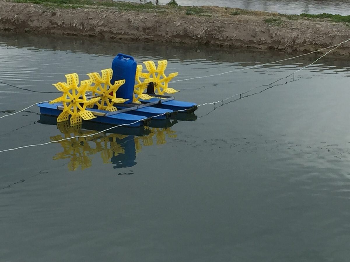 Technische Belüftung bewegt Wasser in einem Fischteich