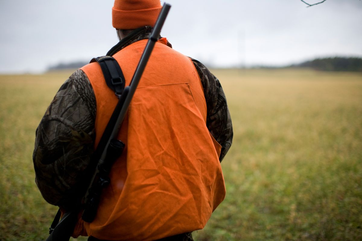 Von hinten fotografierte Person mit orangefarbener Warnweste und geschulterter Büchse auf einem Feld.
