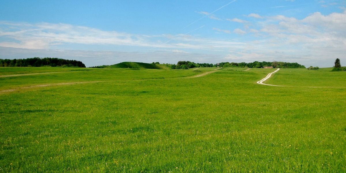 Weite Wacholderheide und Waldränder im Münsinger Hardt auf der Schwäbischen Alb