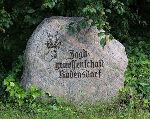 Die Jagdgenossenschaft: Aufbau und Funktion im Jagdrecht