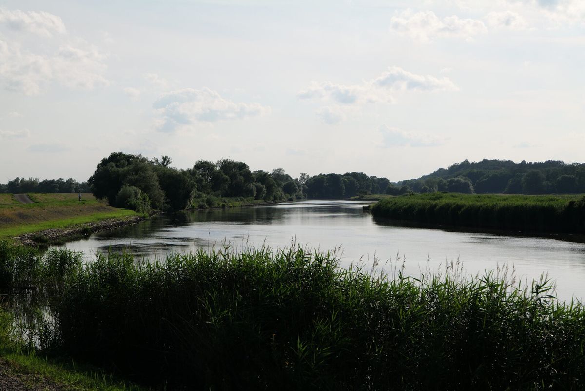 Flusslauf der Alten Oder im Nationalpark Unteres Odertal in Brandenburg