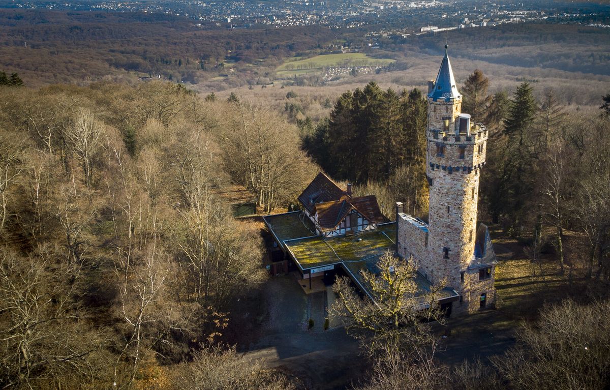 Luftaufnahme des bewaldeten Schläferskopfs bei Wiesbaden