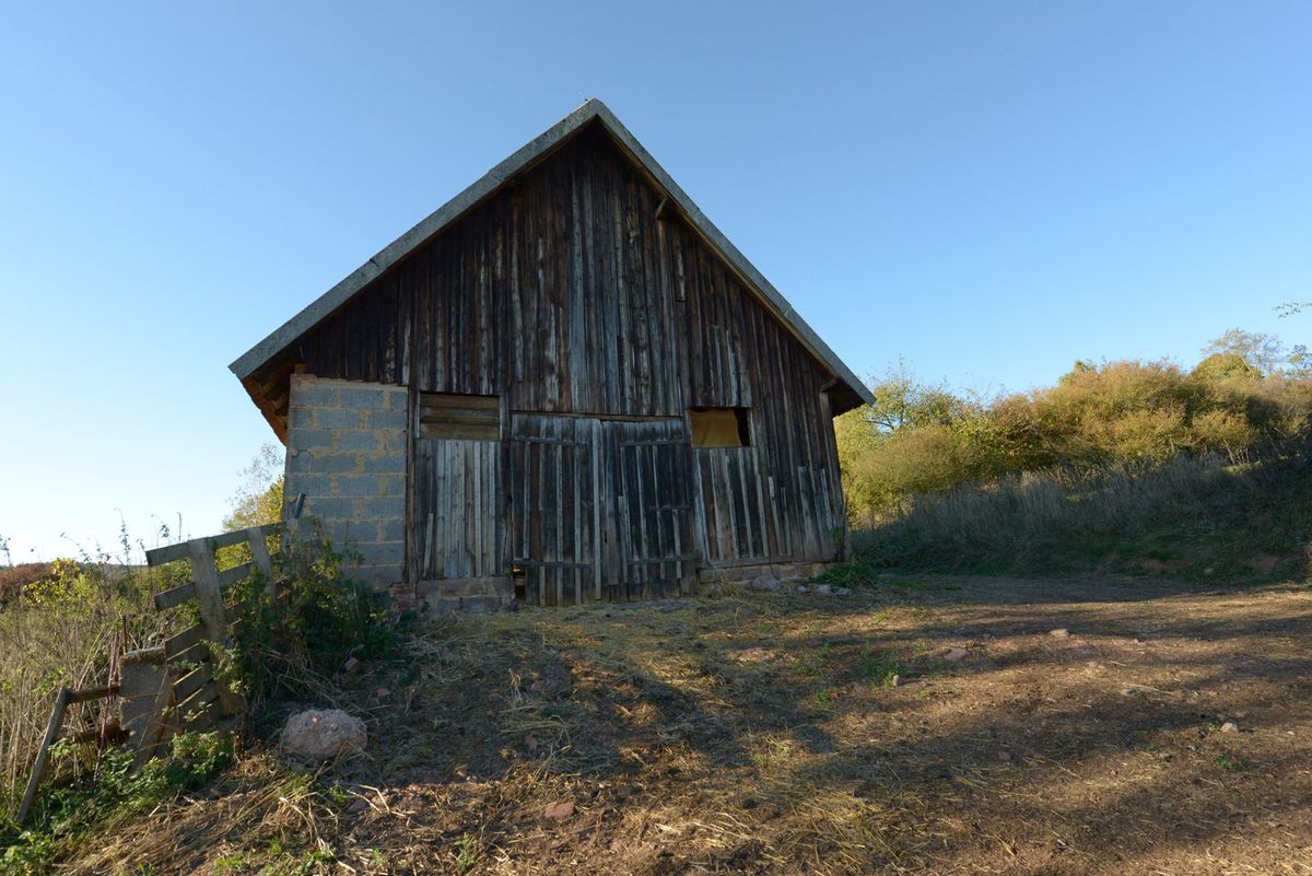 Stallgebäude der ehemaligen Kreisjungviehweide bei Hirzweiler im Saarland, umgeben von Wiesen und Waldrand