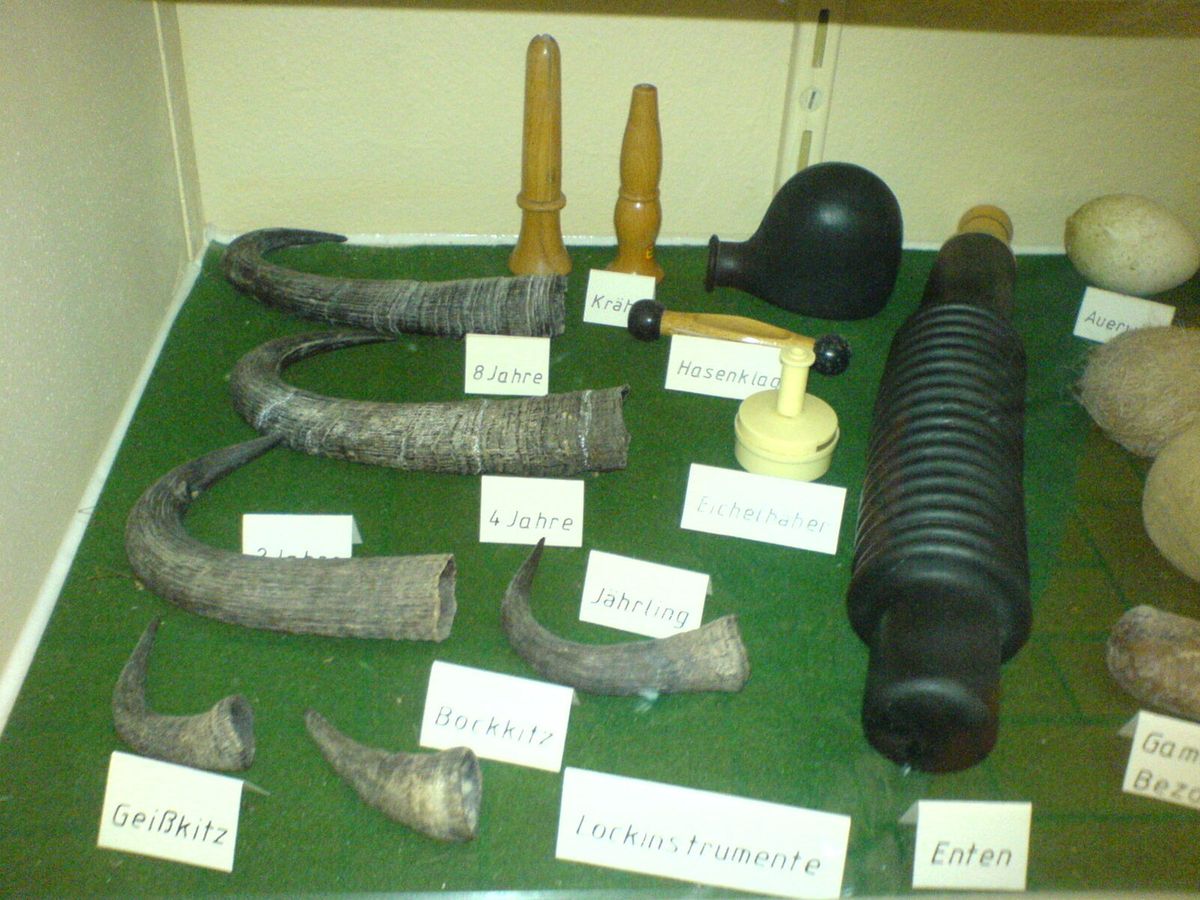 Museumsvitrine mit Lockinstrumenten aus Horn, Holz und Gummi, beschriftet nach Wildart