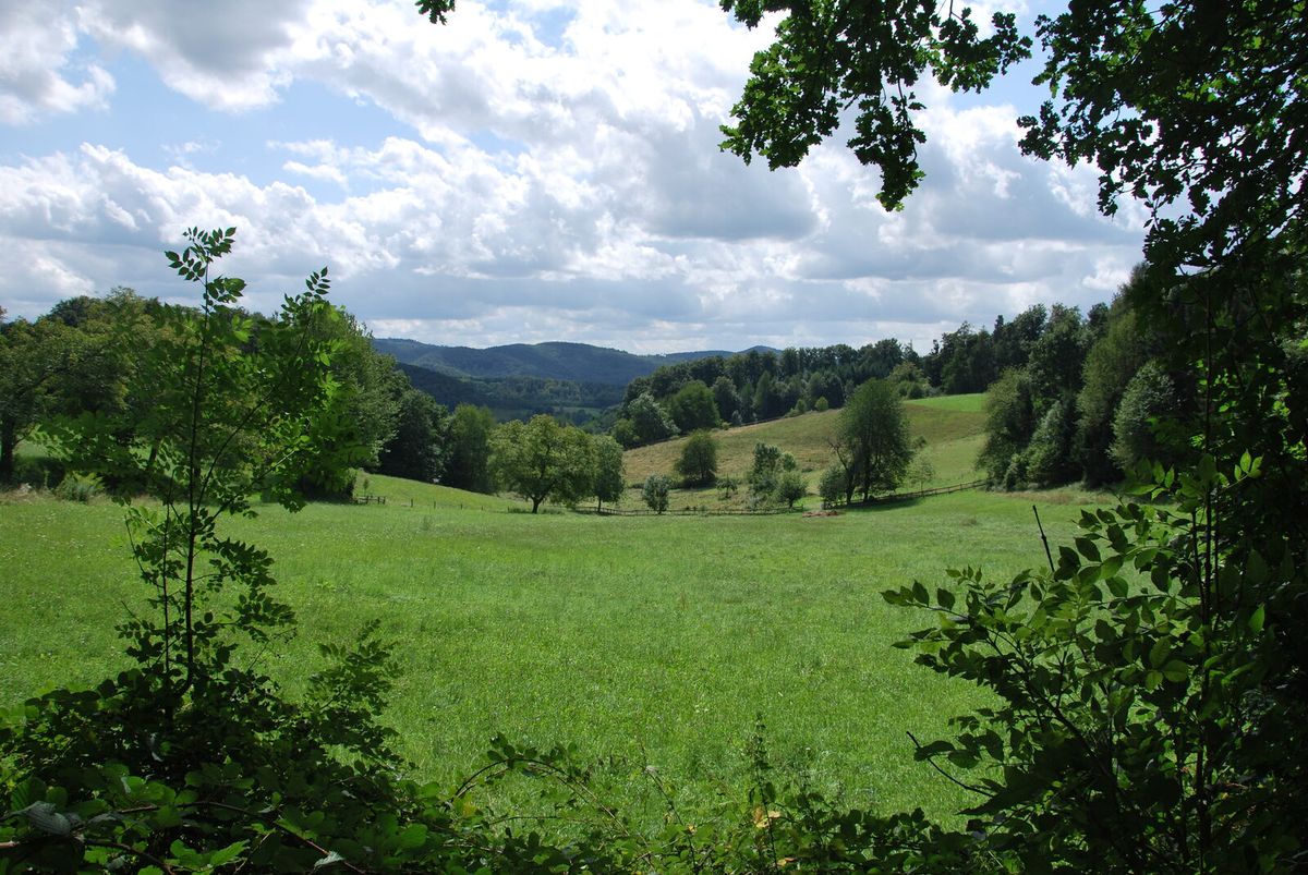 Bewaldete Hügellandschaft im Odenwald