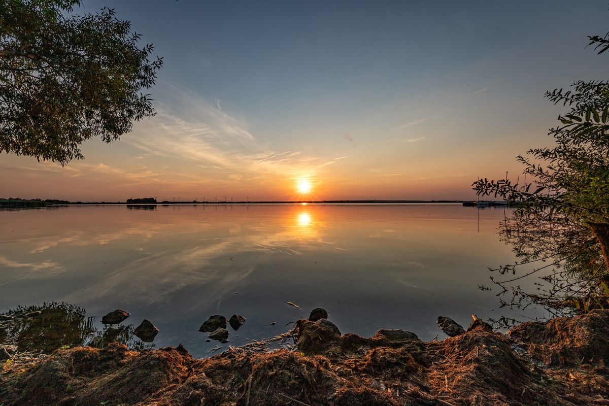 Blick über den Dümmer mit Schilfgürtel und Segelbooten