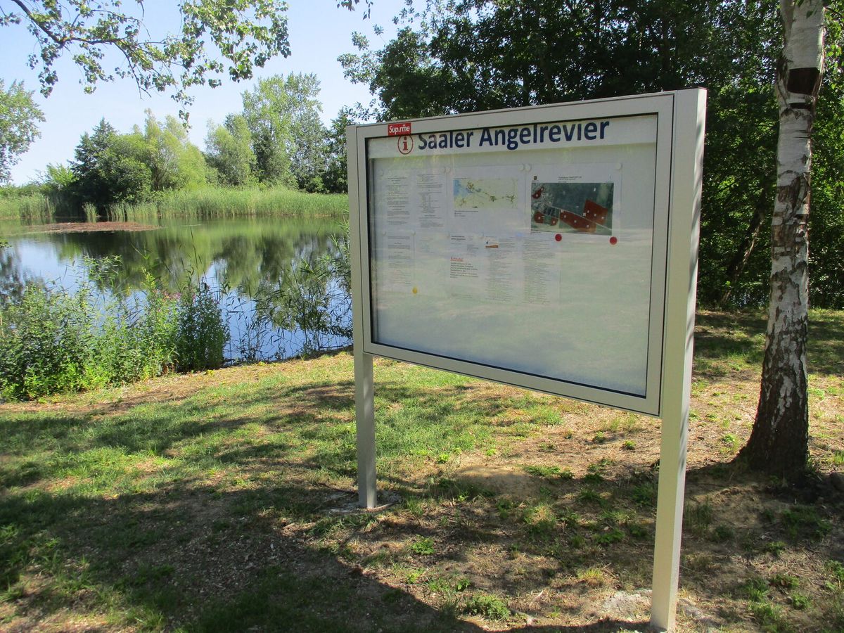 Angelgewässer mit bewachsenem Ufer in Mecklenburg-Vorpommern