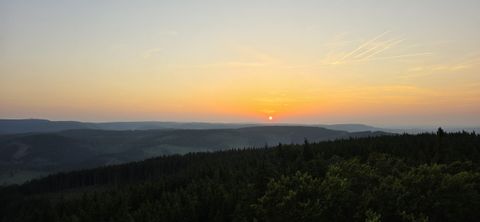 Schüsse im Wald bei Nacht: Polizei-Großeinsatz in Thüringen – was Jäger jetzt wissen müssen