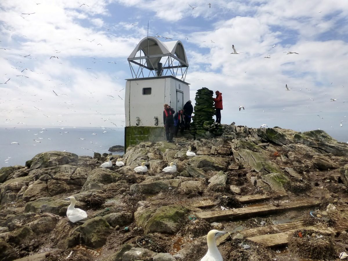 Die unbewohnte Felseninsel Sula Sgeir im Nordatlantik
