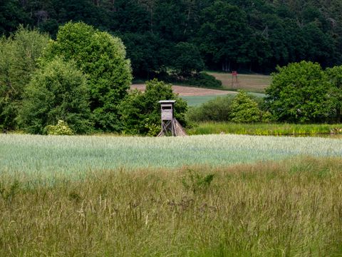 Jäger findet verunglückten Traktorfahrer: Warum Jäger im Revier oft die ersten Helfer sind