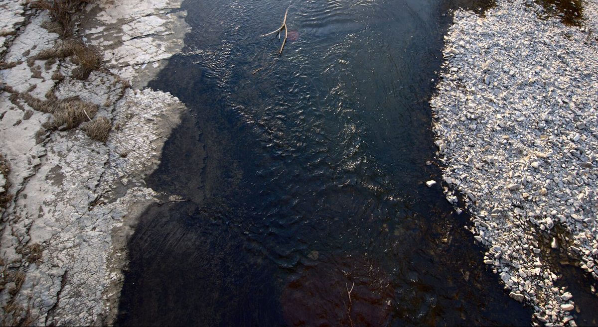 Weitgehend trockengefallenes Flussbett des Altneckars mit freiliegenden Steinen
