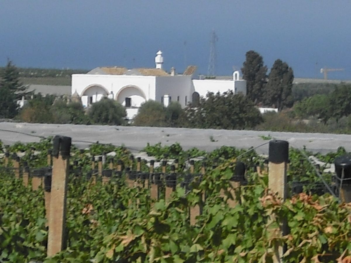 Historisches Gutshaus Masseria del Gallinaro bei Noicattaro in Apulien