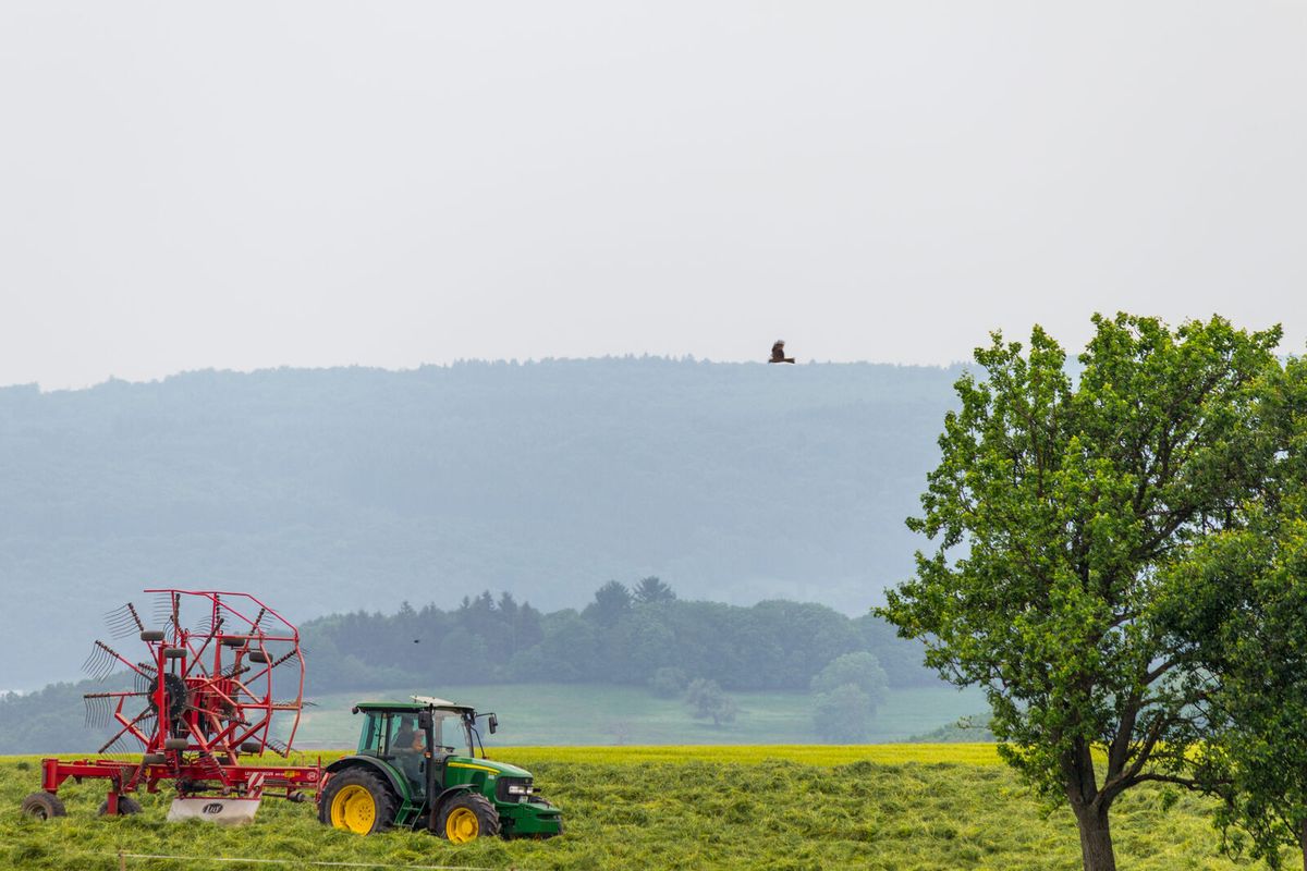 Landschaft im Naturpark Saar-Hunsrück bei Irsch
