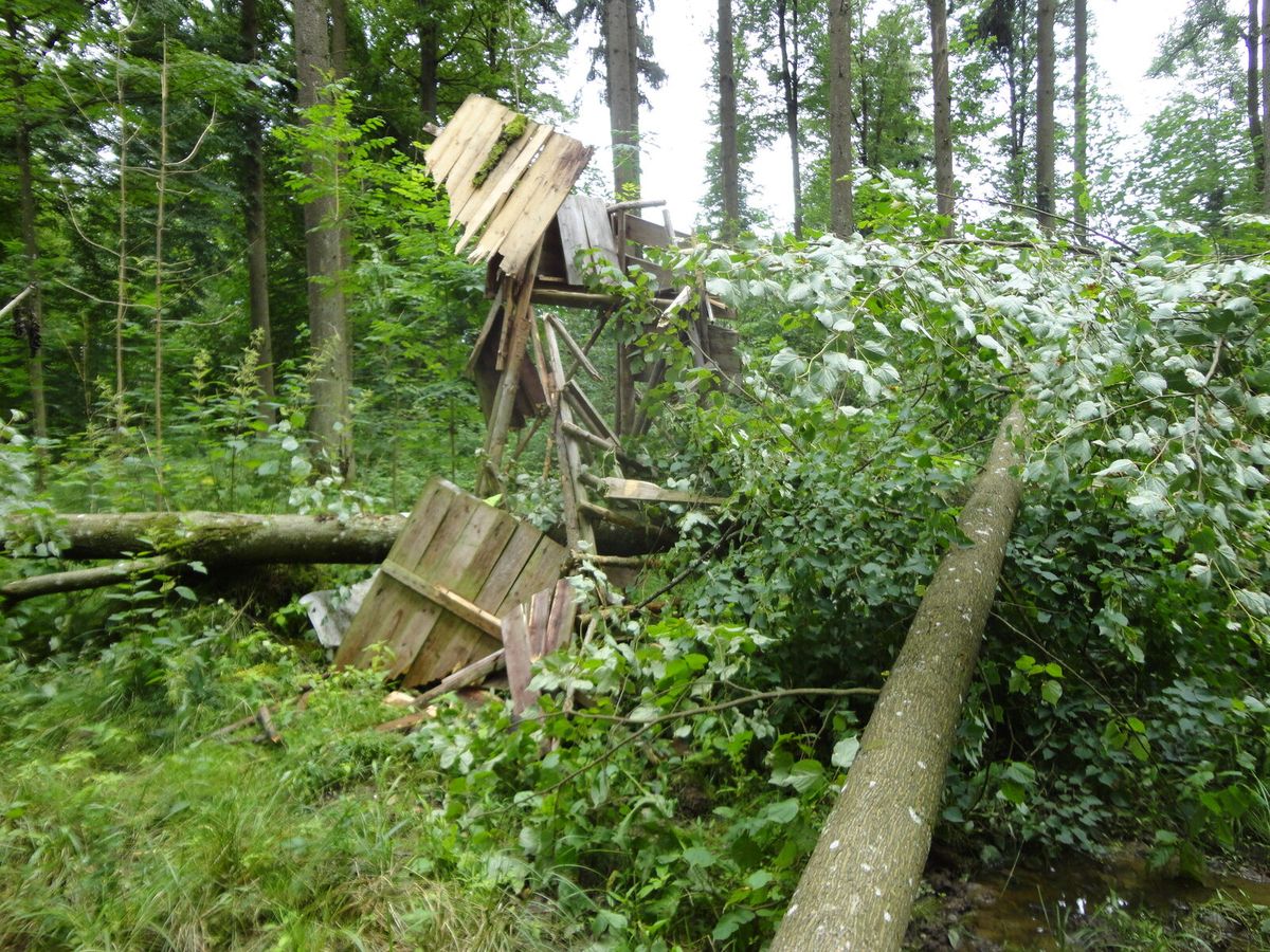 Von einem umgestürzten Baum zerstörter Ansitz in einem Wald