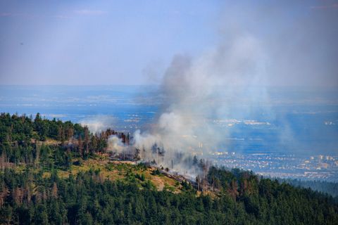 Wiesbaden bei Waldbrand-Warnstufe 5: Hessen ruft Alarmstufe A aus