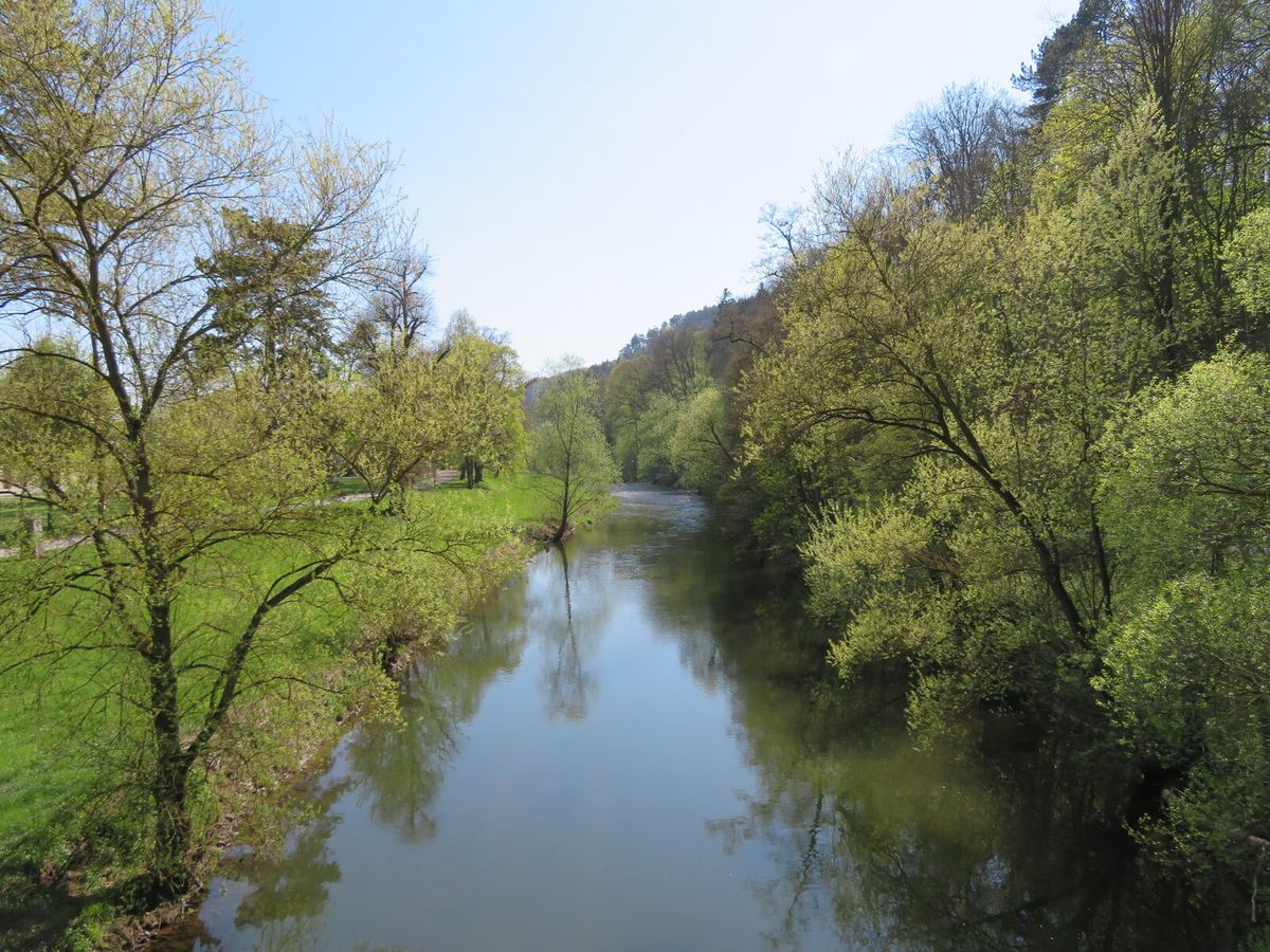 Die Werra fließt durch Meiningen, im Hintergrund Fachwerkhäuser