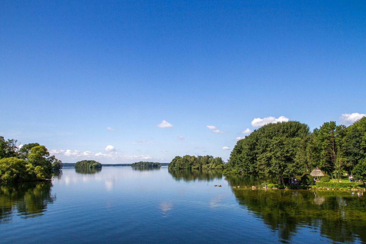 Großer Plöner See mit Schilf und Wald – typischer Lebensraum im Kreis Plön