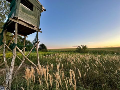 Jagdschein verlängern: Kosten, Frist und Gebühren