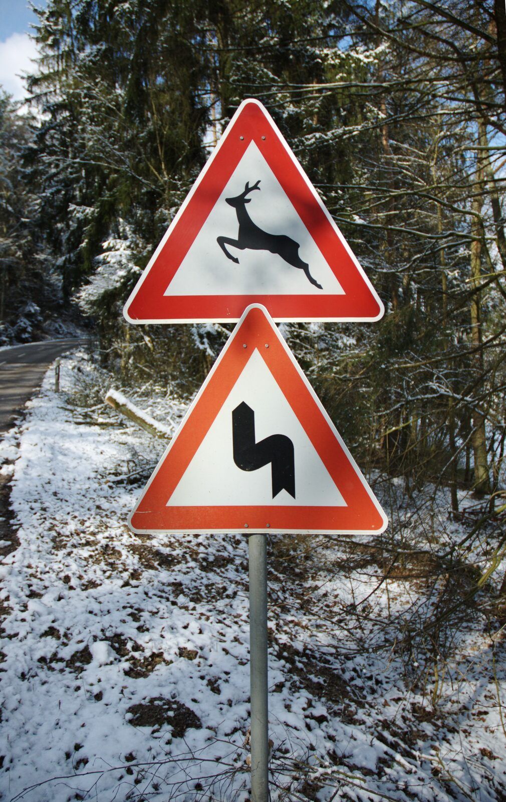 Verkehrsschild Wildwechsel an einer Landstraße