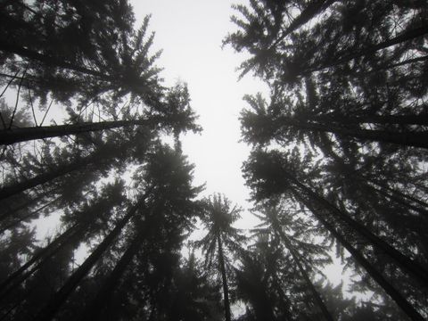 Drahtfalle für Mountainbiker: Jäger verurteilt – was der Fall über Selbstjustiz im Revier lehrt