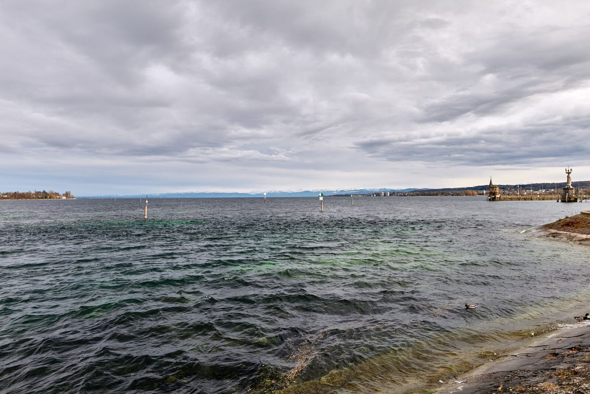 Blick vom Stadtgarten Konstanz über den Bodensee
