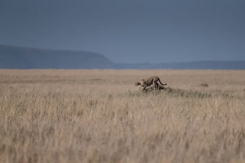 Jagdschein Kosten 2026: Was kostet der Jagdschein wirklich?
