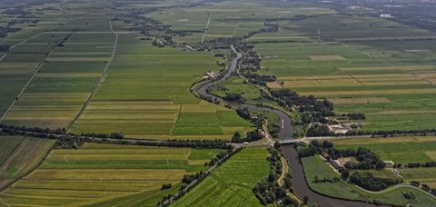 Fischbergung in Niedersachsen: Eilverfahren für Elektrofischerei gilt bis 31. Oktober 2026