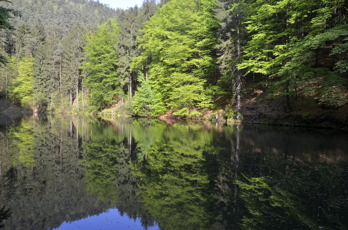 Der Amselsee im Kurort Rathen in der Sächsischen Schweiz