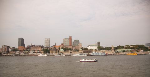 Rote Liste Fische Hamburg 2026: 43 Prozent gefährdet, drei Arten erholen sich