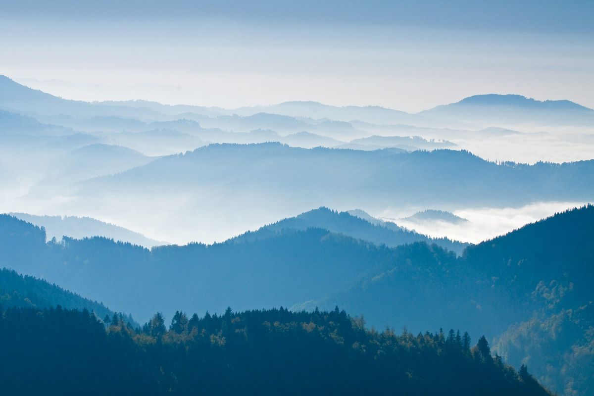 Blick über die lichten Höhenlagen des Nationalparks Schwarzwald am Schliffkopf