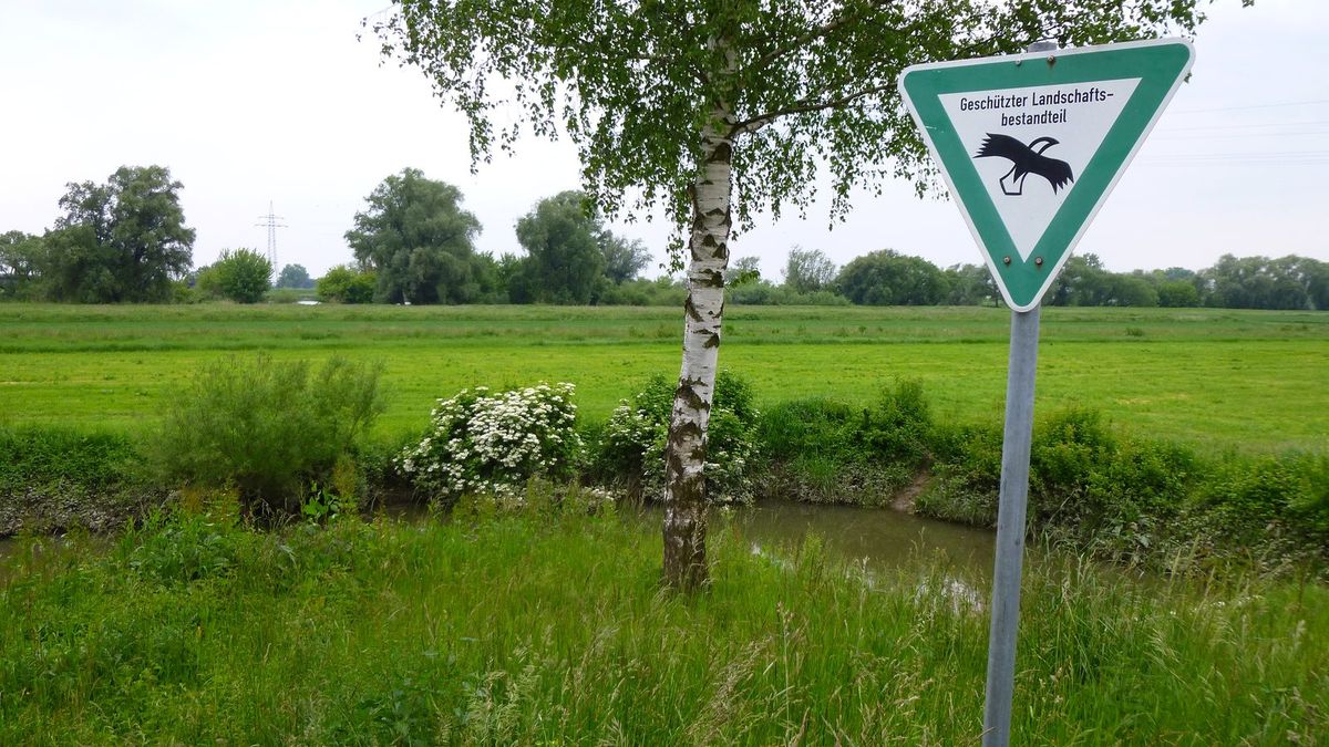 Geschützte Landschaft entlang der Donau bei Bogen im Landkreis Straubing-Bogen