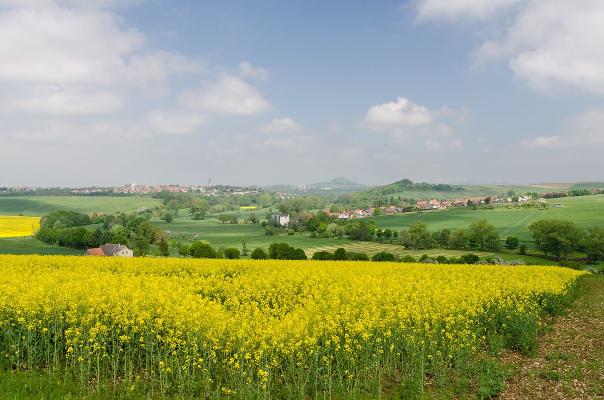 Blick über die Feldflur auf die Stadt Warburg im Kreis Höxter