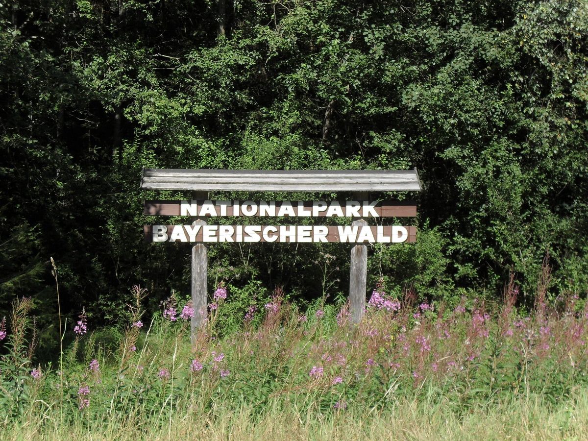 Holzschild am Eingang zum Nationalpark Bayerischer Wald