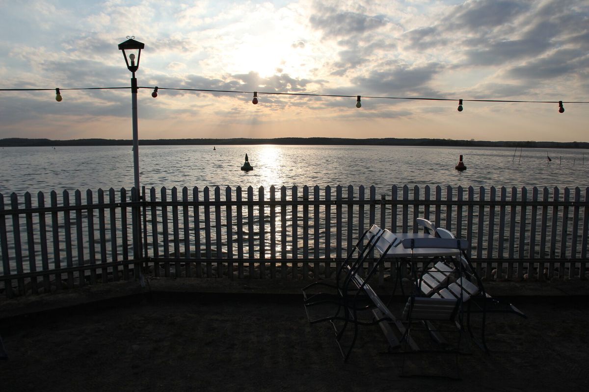 Abendlicher Blick über den Zierker See in Neustrelitz mit Uferbewuchs