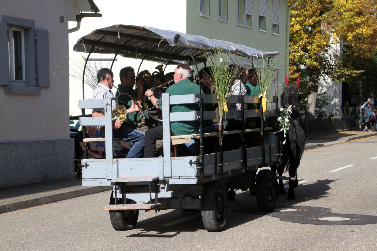 Jagdhornbläser in grüner Tracht blasen gemeinsam auf Fürst-Pless-Hörnern im Freien