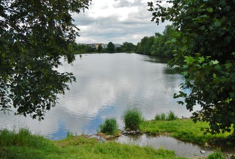Fischsterben im Schwarzwald-Baar-Kreis: Freizeitdruck soll jetzt sinken
