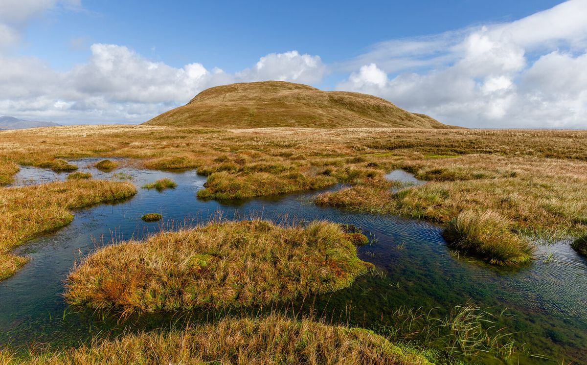 Wasserflächen und Grasinseln in einem Torfmoor