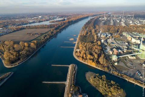 Hitzesommer 2026 in Baden-Württemberg: Die Gewässerbilanz der Angelvereine ist am 27. September fällig