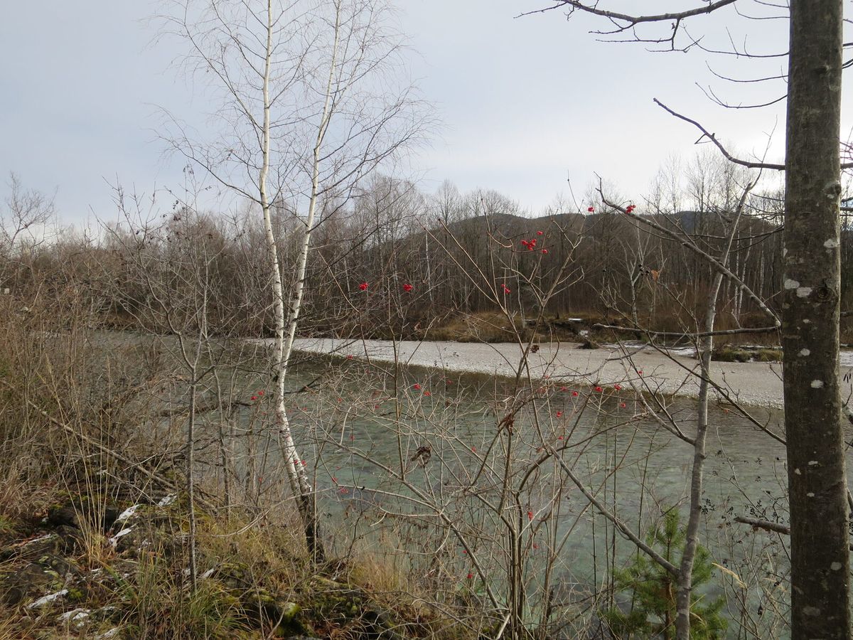 Blick auf die Isar bei Bad Tölz mit Kiesbänken und bewaldeten Ufern