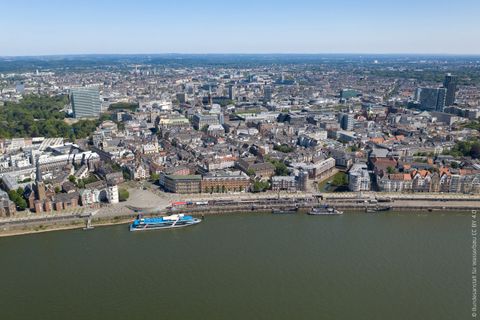 Rheinpegel Düsseldorf bei minus 2: Warum für Angler andere Werte zählen
