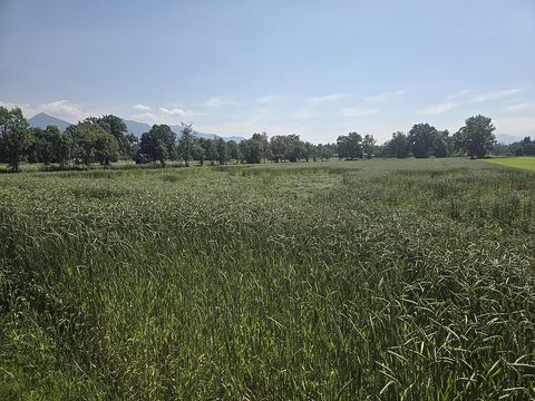Getreide für Jäger: Anbau und Wildnutzen