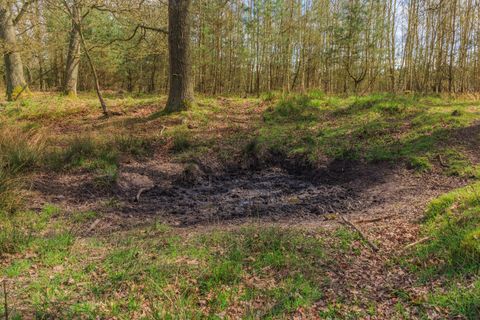 Jagdunfall bei der Nachsuche: Warum eine übergebene Waffe zwei Jäger vor Gericht brachte