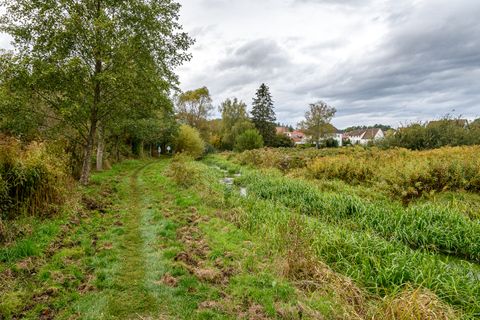 Jagdstrecke Rheinland-Pfalz 2025/26: Rehwild auf Rekordniveau, Schwarzwild plus 14 Prozent