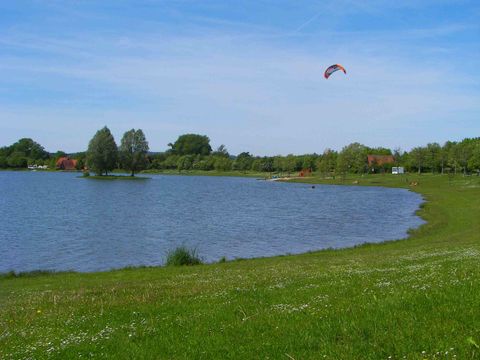 Fischsterben in Kulmbach: Das Ufer ist gesperrt, die Ursache offen