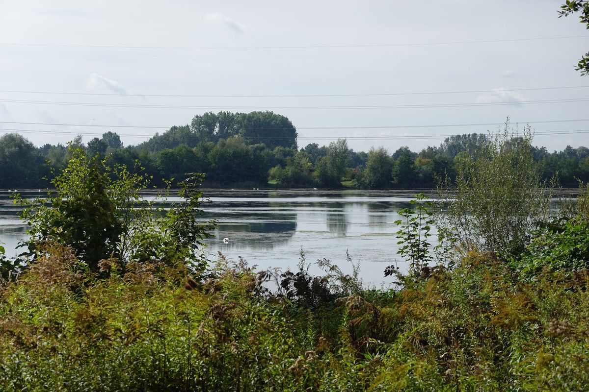Weiher im Naherholungsgebiet bei Parkstetten zwischen Ober- und Unterharthof